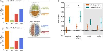 Excitatory-Inhibitory Homeostasis and Diaschisis: Tying the Local and Global Scales in the Post-stroke Cortex